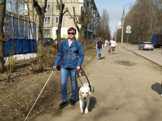 Во Владимире собака помогает получать высшее образование незрячей студентке